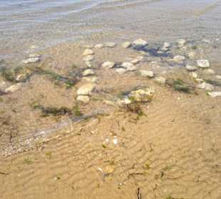 Strand in Bibione Juni 2012