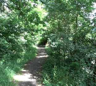 Schutzgebiet Spitzberg, Pfaffenberg