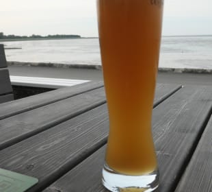 Pause bei der Buchtbude am Ufer der Elbe