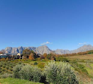 Weingut Tokara in Stellenbosch