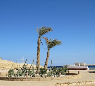 Ausflug nach Sharm el Naga