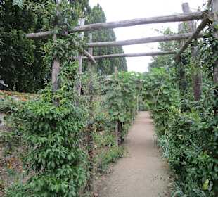  Schloss Azay le Rideau