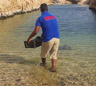 Muschelfarm Außenbereich