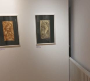 Theodor Zink Museum
