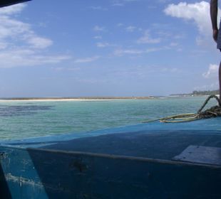 Ausflug Glasbodenboot Diani Beach