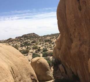 Joshua Tree National Park