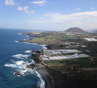 Buenavista del Norte