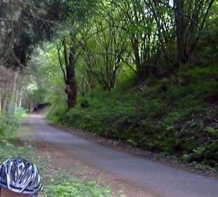 Pfälzerwald Tour in Waldfischbach-Burgalben