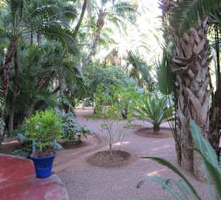 Eindrücke aus dem Jardin Majorelle Garten