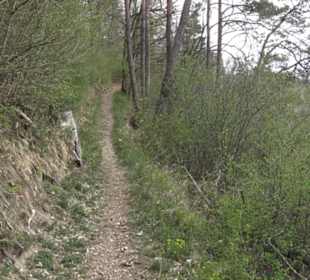 Burgruine Hohenhundersingen