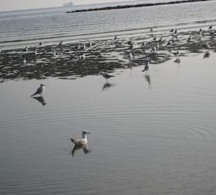 In Larnaca am Strand