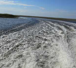 Da wird auf Tempo gefahren