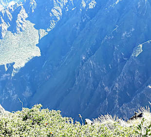 Colca-Canyon