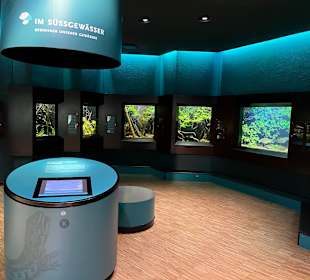 Aquazoo Löbbecke Museum Düsseldorf