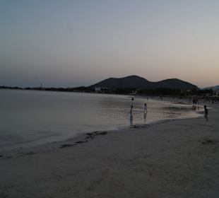 Hafen-Strand Alcudia 