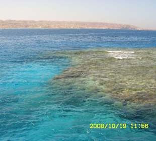 Die grandiosen Korallenriffe