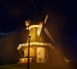 Nachts im strömenden Regen