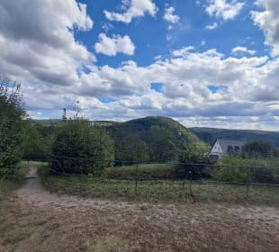 Ruine Kyrburg in Kirn