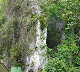 Wasserfall