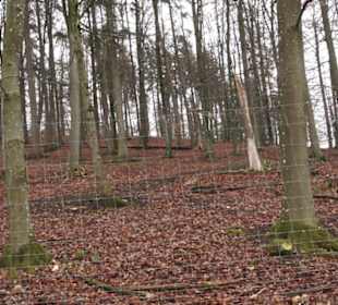 Wildpark Eichert