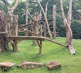 Singapur Zoo