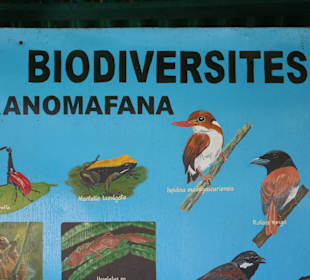 Erklärung der Tiere