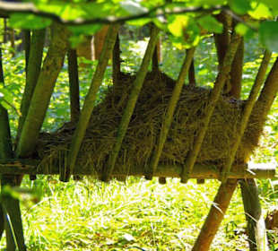 Der Therapeutische Wanderweg