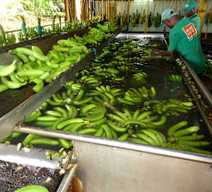 Reinigung im Wasserbad