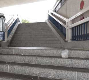 Körperwelten im Menschen Museum