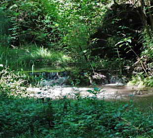 Wanderung durch den Ponlachgraben
