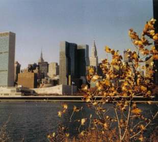 Auf Roosevelt Island