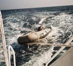 Tauch- und Schnorcheltour