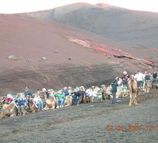 karawana w parku Timanfaya