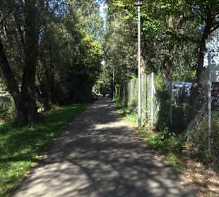 Schaukelweg an der Donau