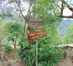 Akar Langit (bei Yogyakarta)