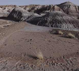 Цветная пустыня Аризоны_Blue_Mesa32