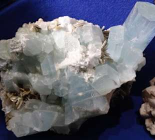 In der geologischen Abteilung