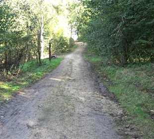 Bussen Schöpfungsweg Offingen