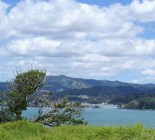 Bay of Islands