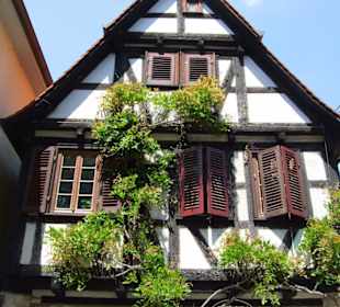 Die Altstadt