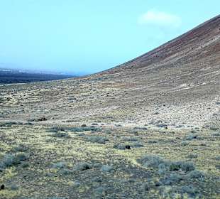 Inselrundfahrt AIDA Tagestour