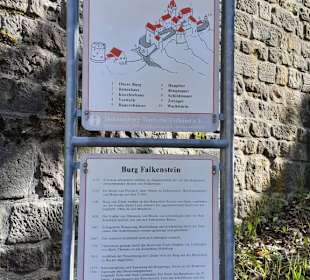 Burg Falkenstein in Winnweiler