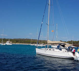 Cala´n Bosch