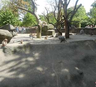Tierpark Hagenbeck