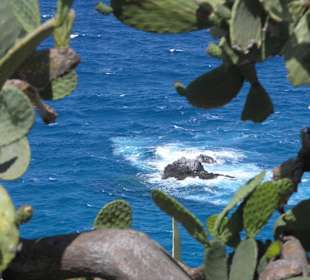 Am Capo Vaticano