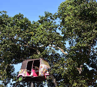 Botanischer Garten Peradeniya