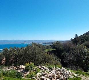 Blick vom Botanischen Garten zum Meer