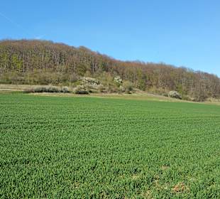 Wandern Bodenwerder