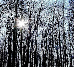 Moritzberg im Winter