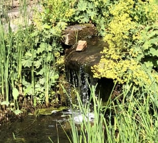 Gartenanlage